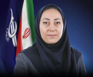 وحیده نجفی مدیرکل دفتر حقوقی و امور بین‌الملل سازمان هواپیمایی کشوری