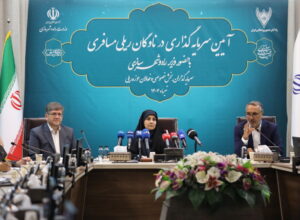 سرمایه‌گذاری ریلی