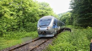 قطار گردشگری شیرگاه