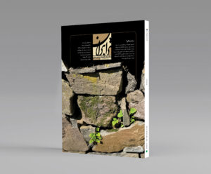 cover 242